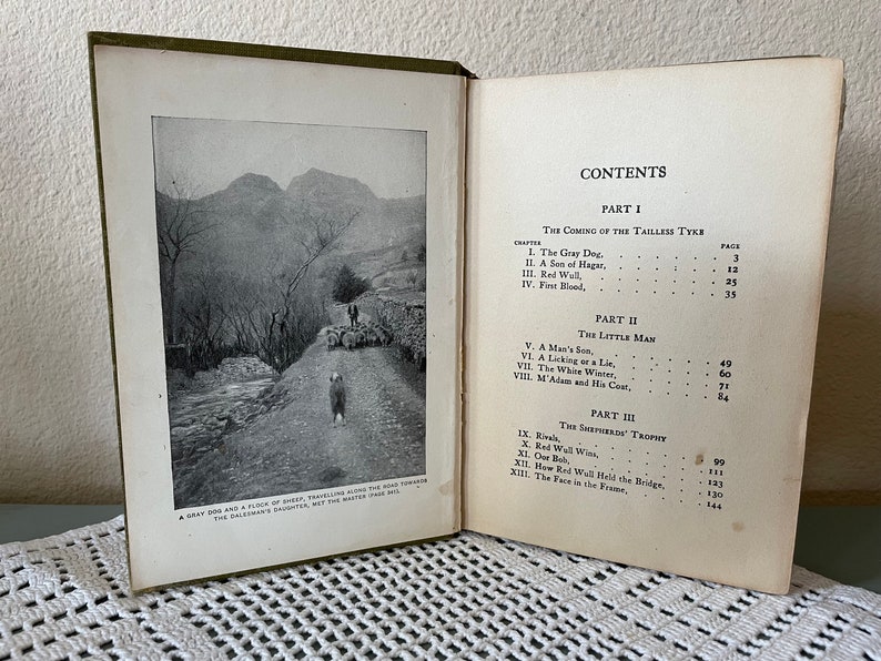 May include: Open book with a black and white landscape photo and text. The photo shows a dog and a flock of sheep on a road. The text on the right side lists the table of contents.