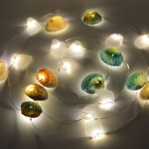 May include: A string of LED fairy lights featuring alternating natural seashells and smooth white sea glass pieces. The shells display varied brown, tan, and teal hues, while the translucent glass elements glow with a warm white light.