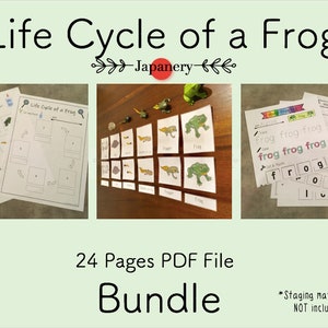 May include: A 24-page PDF file bundle for teaching children about the life cycle of a frog. The bundle includes worksheets, word practice activities, and matching cards. The image shows a sample of the worksheets and cards. The text "Life Cycle of a Frog" and "24 Pages PDF File Bundle" is visible in the image.