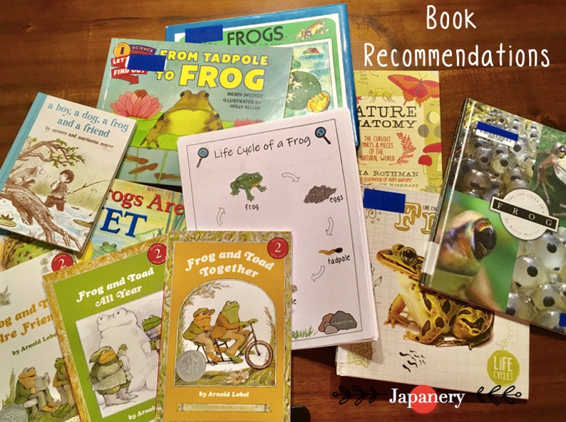 May include: A collection of children's books about frogs, including "From Tadpole to Frog", "Frog and Toad Together", and "Nature Anatomy". The books are arranged on a wooden surface with the text "Book Recommendations" at the top.