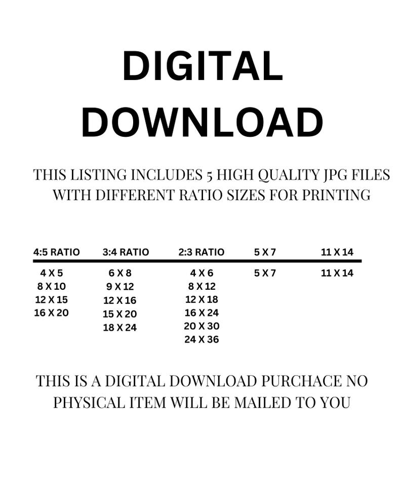 Pu&ograve; includere: Un elenco di download digitale per cinque file JPG di alta qualit&agrave; con diversi rapporti d'aspetto per la stampa. I rapporti sono 4:5, 3:4, 2:3, 5x7 e 11x14. L'immagine mostra le diverse dimensioni disponibili per ogni rapporto.