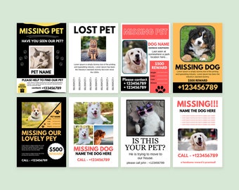 Missing Pet Flyer Template: Editable Lost Pet Poster (Digital Download)