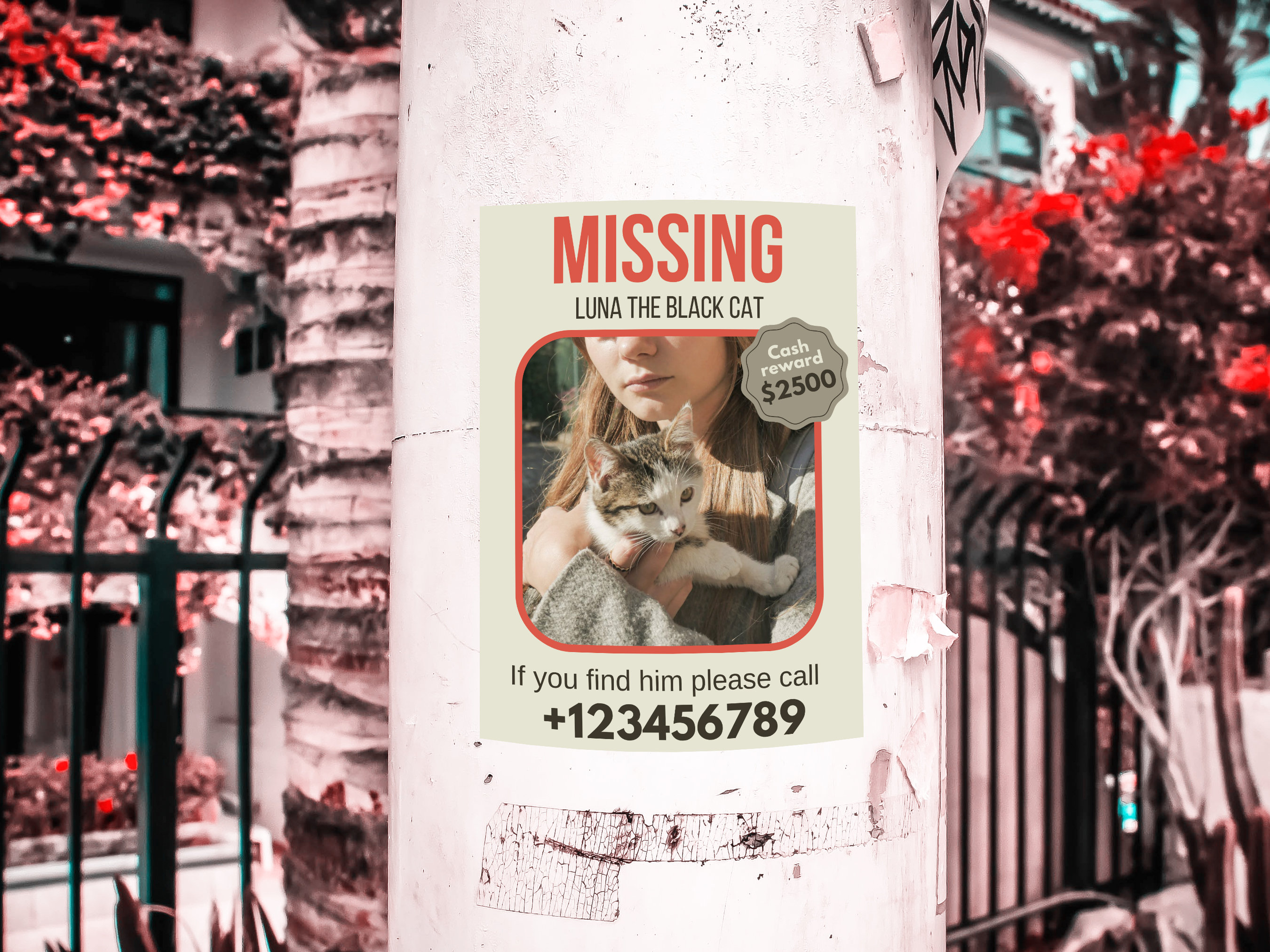 Missing Cat Editable Templates, Missing Cat Flyer, Missing Templates ...