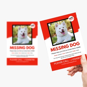 Missing dog editable template, missing dog templates,, missing pet flyer, Tear off flyer, printable lost pet, Lost dog flyer template, CANVA