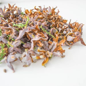 Thuya Cones: Natural Brown Christmas & Wedding Decoration