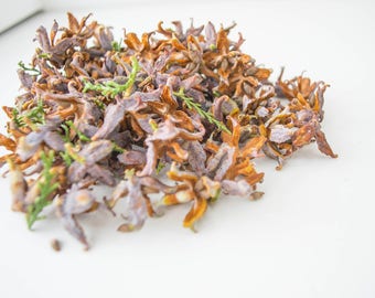 May include: A pile of dried brown and purple flower buds with green leaves.