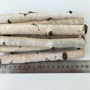Set of small 8+ birch sticks, white birch branches, natural wood decor