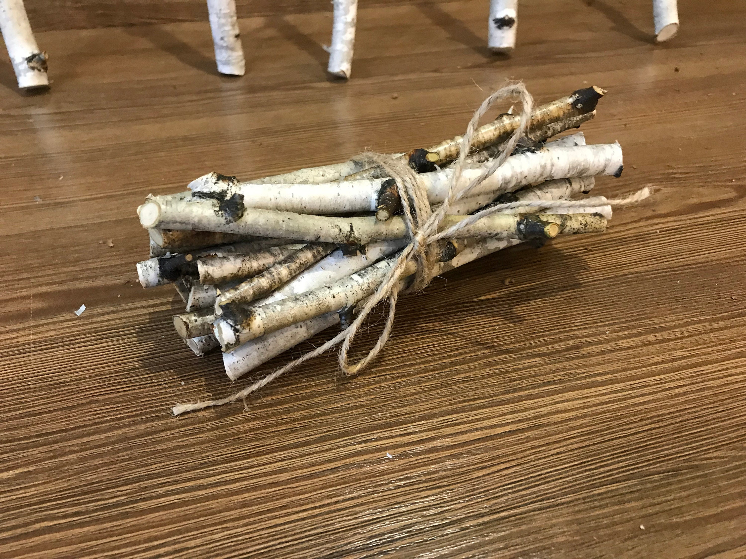 白樺の枝：ナチュラルな室内装飾、15本（4～5インチ） - Etsy 日本