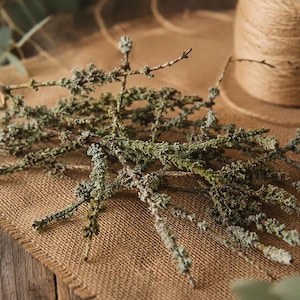 May include: Dried green and gray branches arranged on a burlap cloth, with a spool of twine in the background. The branches have a textured, natural appearance, suitable for rustic decor or crafting projects.