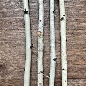 Set of 4 small 14&quot;  sticks, white birch branches, natural wood decor