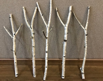 Set of 5 birch branches, white natural birch sticks, natural home decor