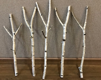 Set of 5 birch branches, white natural birch sticks, natural home decor