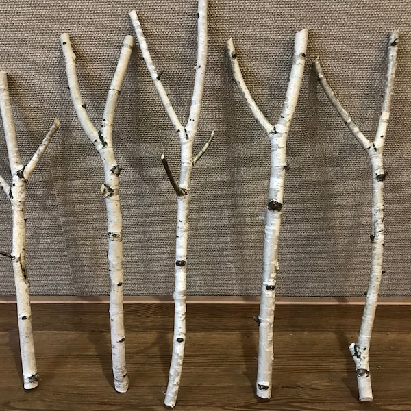 Set of 5 birch branches, white natural birch sticks, natural home decor