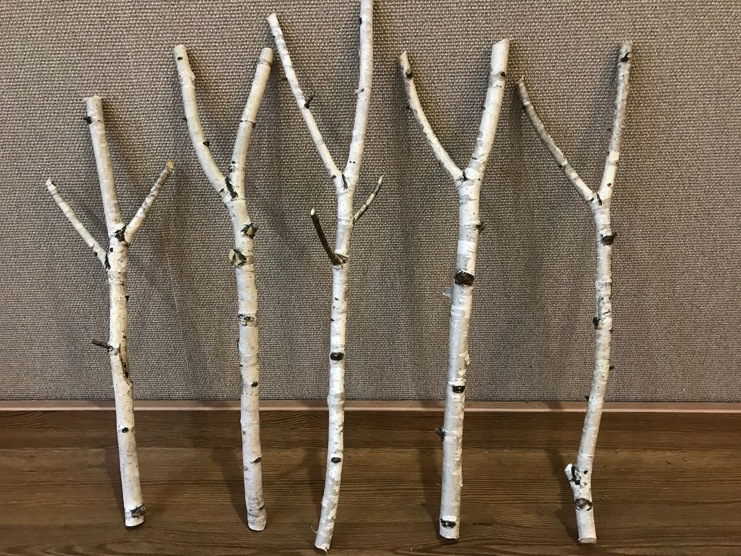 Birch Tree Branches 3'4' Tall 50 Bulk Birch Branches/wholesale Birch  Branches/birch Branches/branch Centerpiece/rustic Wedding 