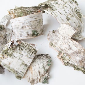 Puede incluir: Una colección de piezas de corteza de abedul blanco con una textura natural y rústica. La corteza tiene un color marrón claro y está ligeramente rizada. La corteza es perfecta para manualidades y decoración.