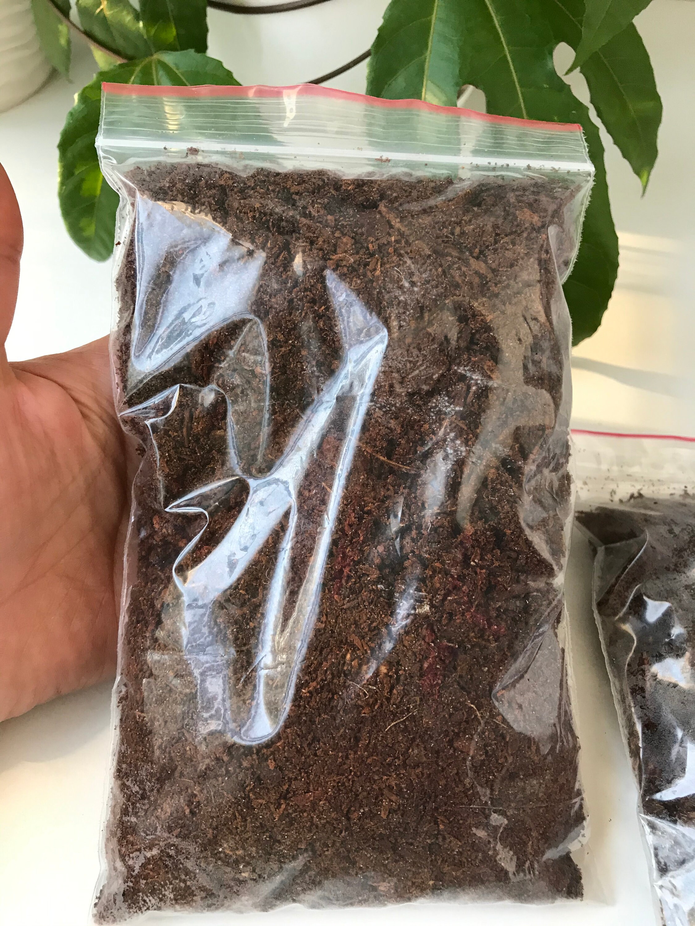 Woody Soil / Terrarium Soil / Woody Soil / Moss Soil / Flower Etsy