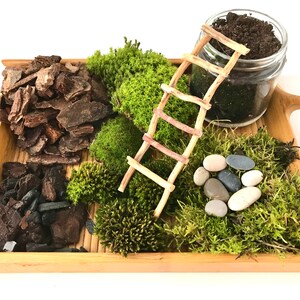 May include: A wooden tray with a miniature ladder, moss, rocks, and bark. The tray is made of light brown wood and has a handle on each side. The ladder is made of twigs and is leaning against a glass jar filled with soil. The moss is green and is arranged in clumps around the ladder and rocks. The rocks are gray and white and are arranged in a circle around the ladder. The bark is brown and is arranged in a pile in the corner of the tray.