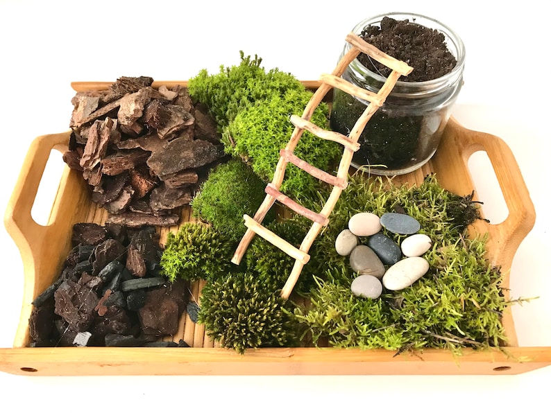 May include: A wooden tray with a miniature ladder, moss, rocks, and bark. The tray is made of light brown wood and has a handle on each side. The ladder is made of twigs and is leaning against a glass jar filled with soil. The moss is green and is arranged in clumps around the ladder and rocks. The rocks are gray and white and are arranged in a circle around the ladder. The bark is brown and is arranged in a pile in the corner of the tray.