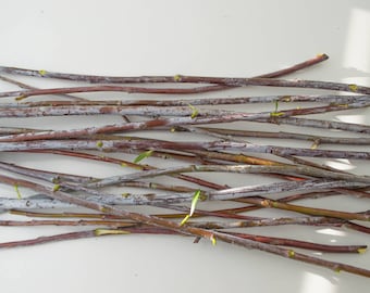 Willow Branches with Gray Bloom: Rustic Home Decor, 15 Pcs (12+ inch)