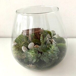 May include: A glass terrarium with a variety of succulents and moss. The terrarium is filled with small white rocks and a small wooden structure.