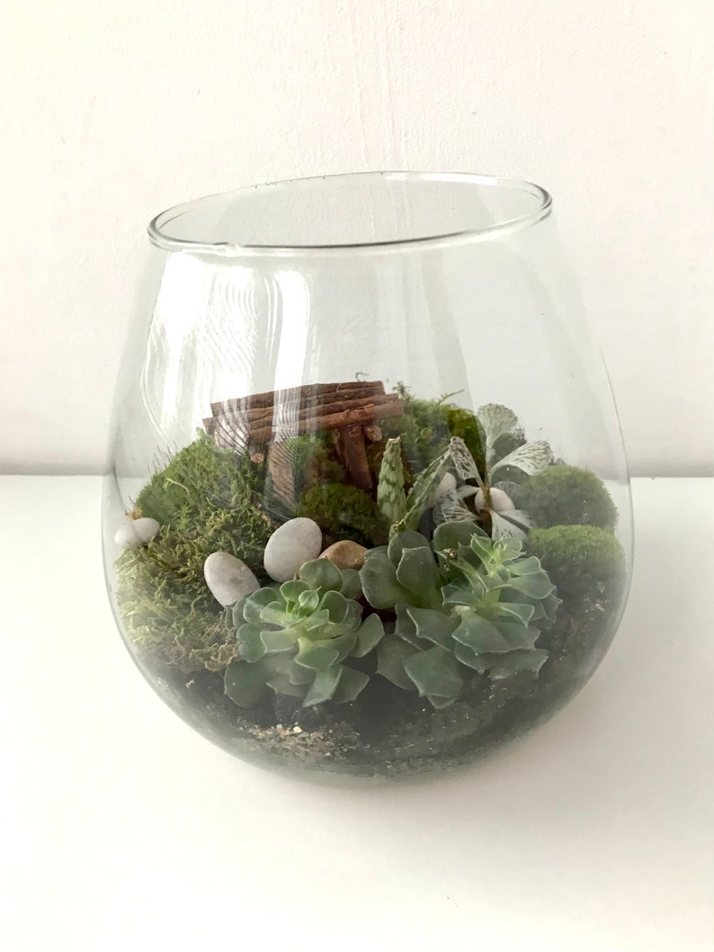 May include: A glass terrarium with a variety of succulents and moss. The terrarium is filled with small white rocks and a small wooden structure.