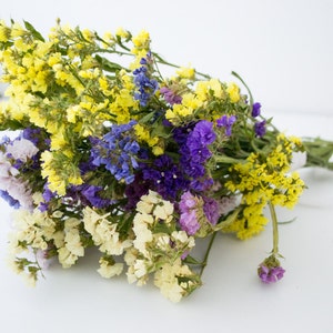 Statice, Trockenblumen, hellen Strauß, hochzeitsdeko, getrocknete Blumen