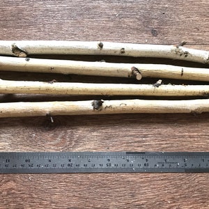 Set of 4 small 10&quot; birch sticks, white birch branches, natural wood decor