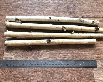 Set of 3 small 12" birch sticks, white birch branches, natural wood decor