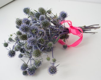 Dry bouquet of thistle, blue bouquet, dried flowers, field plants, filler for vases, home decor, acoustics, wedding