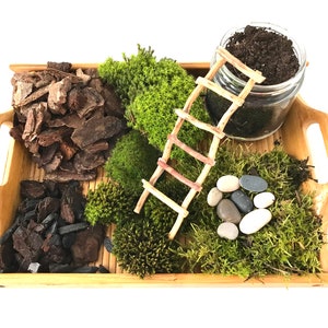 Live Moss Terrarium Starter Kit: Spagnum, Deer Moss, Soil, Bark image 5