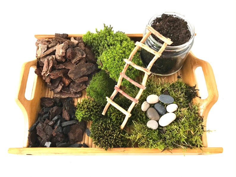 Live Moss Terrarium Starter Kit: Spagnum, Deer Moss, Soil, Bark image 5