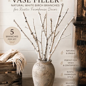 Op de afbeelding: Een rustieke vaas gevuld met natuurlijke witte berken takken. De takken zijn gerangschikt in een hoge, verouderde keramische vaas. De afbeelding bevat de tekst "BIRCH VASE FILLER" en "for Rustic Farmhouse Decor".