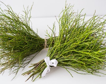 Dried Blueberry Branches, Natural Green Stems, Spring Bouquet Filler