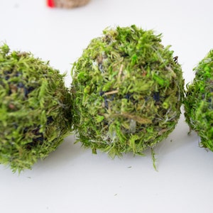 Natural Green Moss Balls, Rustic Home Decor, (5pcs)