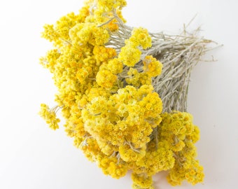 Freshly picked flowers  2024/ Floristry,Immortelle Field, dried flowers, home decor, lavatories