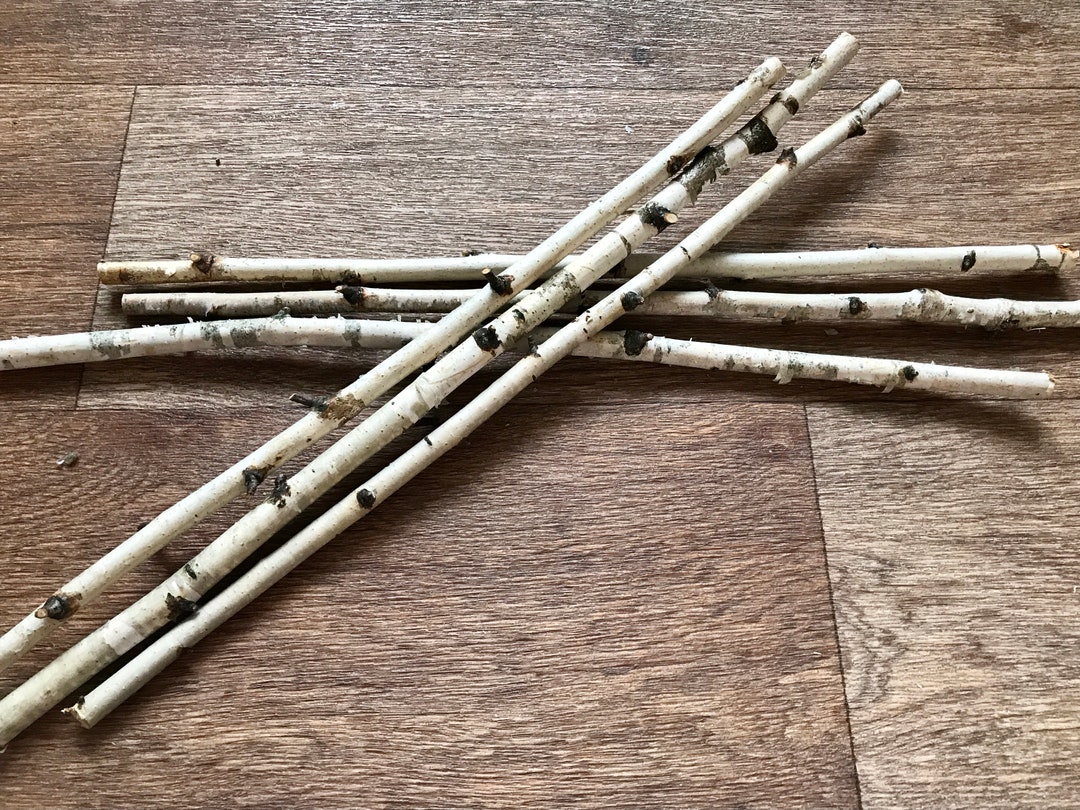Set of 3 Small 21” Sticks, White Birch Branches, Natural Wood Decor - Etsy