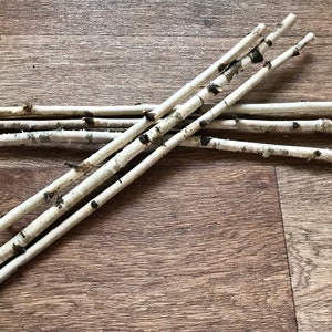 Set of 3 small 21”  sticks, white birch branches, natural wood decor
