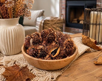 May include: A round wooden bowl filled with a collection of spiky, dark brown horse chestnut husks. The husks are textured with sharp, needle-like protrusions and some are partially open, revealing smooth, dark brown seeds nestled inside the shells.