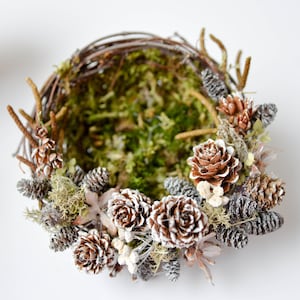 Bird's nest with winter cones, christmas composition, decorative nest, wedding decoration, decoration of the table