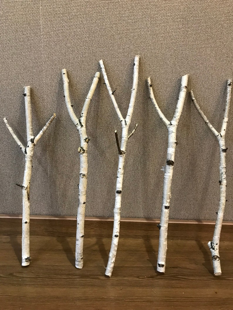 Set of 5 Birch Branches White Natural Birch Sticks Natural Etsy