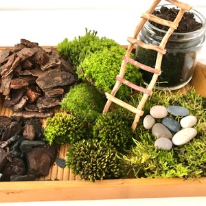 Live Moss Terrarium Starter Kit: Spagnum, Deer Moss, Soil, Bark image 1
