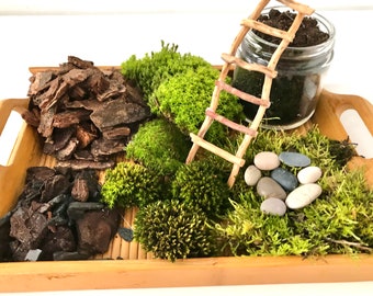 Live Moss Terrarium Starter Kit: Spagnum, Deer Moss, Soil, Bark