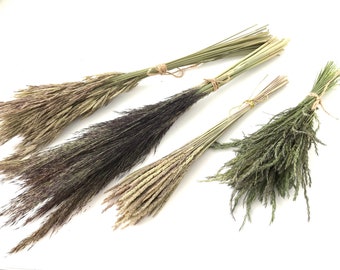 May include: Four bundles of dried ornamental grasses in varying shades of brown, green, and black. Each bundle is tied with twine. The grasses have a feathery texture and are arranged on a white background.