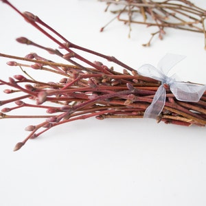 May include: A bundle of reddish-brown twigs tied with a sheer, light blue ribbon. The twigs have small buds at the tips, and the arrangement is set against a white background. A second, smaller collection of twigs is visible in the background.
