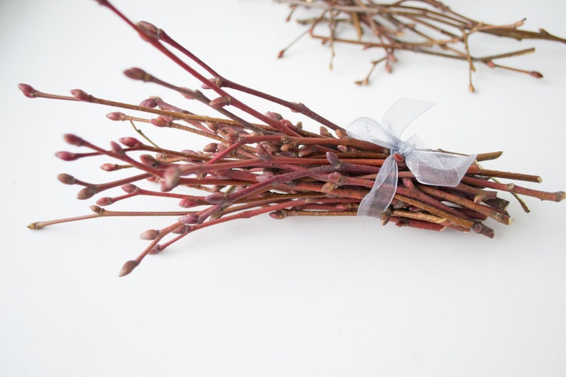 May include: A bundle of reddish-brown twigs tied with a sheer, light blue ribbon. The twigs have small buds at the tips, and the arrangement is set against a white background. A second, smaller collection of twigs is visible in the background.