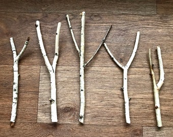Set of 5 birch branches, white natural birch sticks, natural home decor