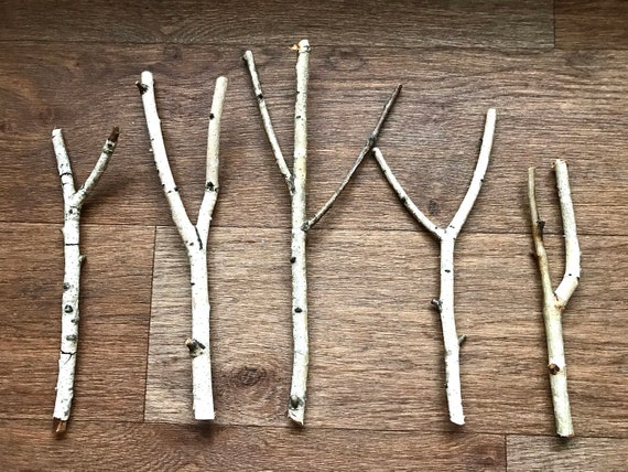 BURI Set Di 4 Rami Di Betulla Naturali, Lunghezza 80 Cm, Per Decorazioni Fai Da Te, Primavera, Matrimoni E Natale