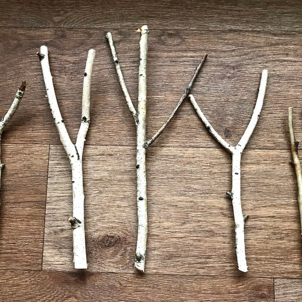 Ensemble de 5 branches de bouleau, bâtons naturels blancs de bouleau, décor normal à la maison