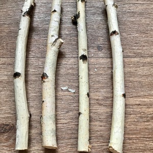 Set of 4 small 12&quot; birch sticks, white birch branches, natural wood decor