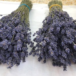 300 stalks of lavender, Dry bouquet of fragrant purple lavender, Natural wedding decor.